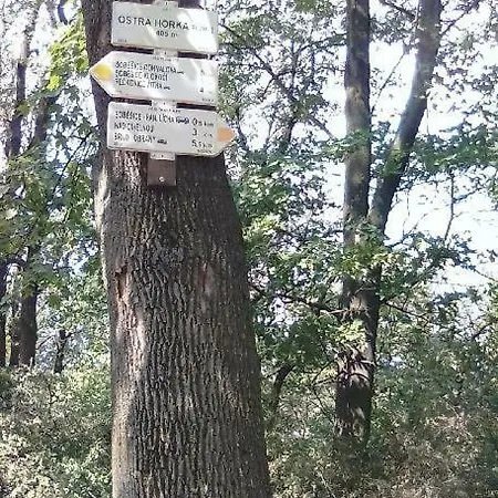 Affittacamere Moravský Kras Kociánka *
